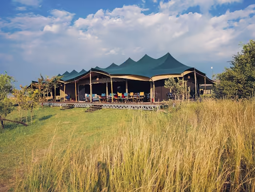 Camp tents in tall grass under a blue sky