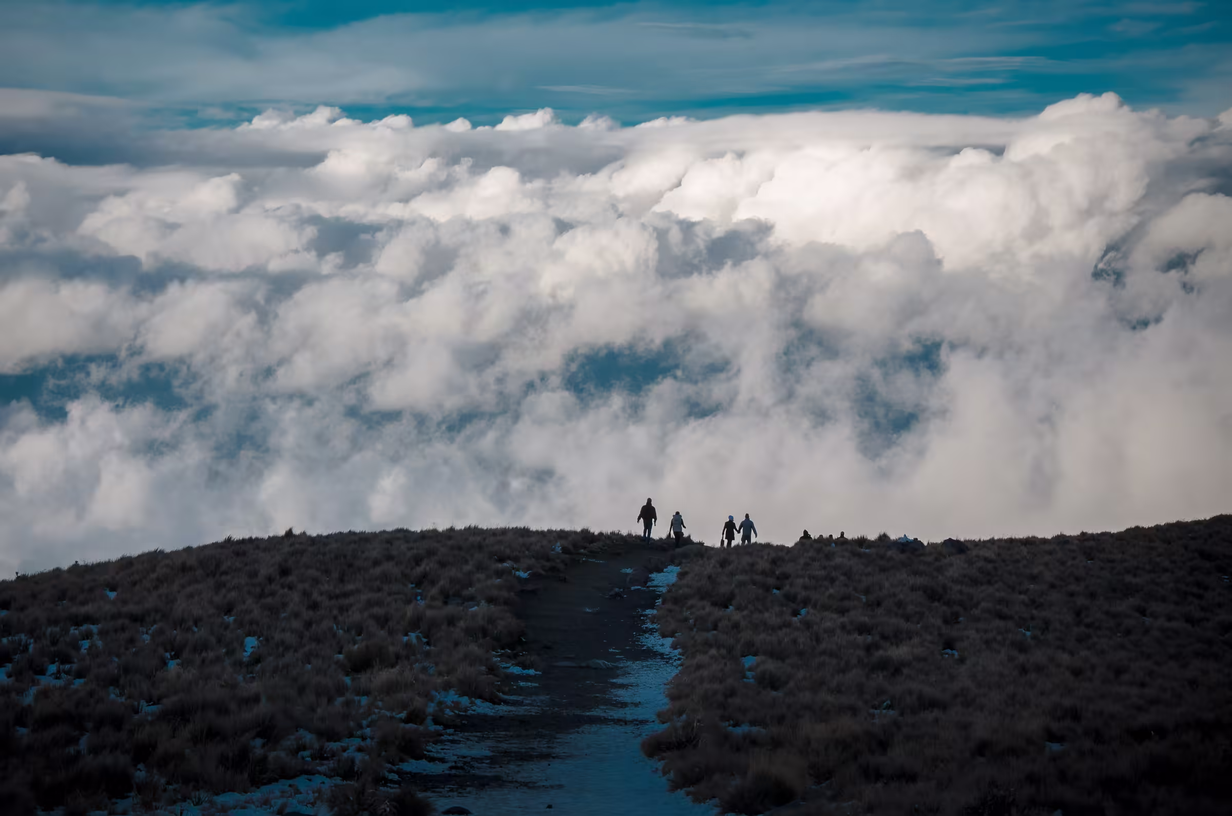 Hikers on grassy mountain with cloudscape