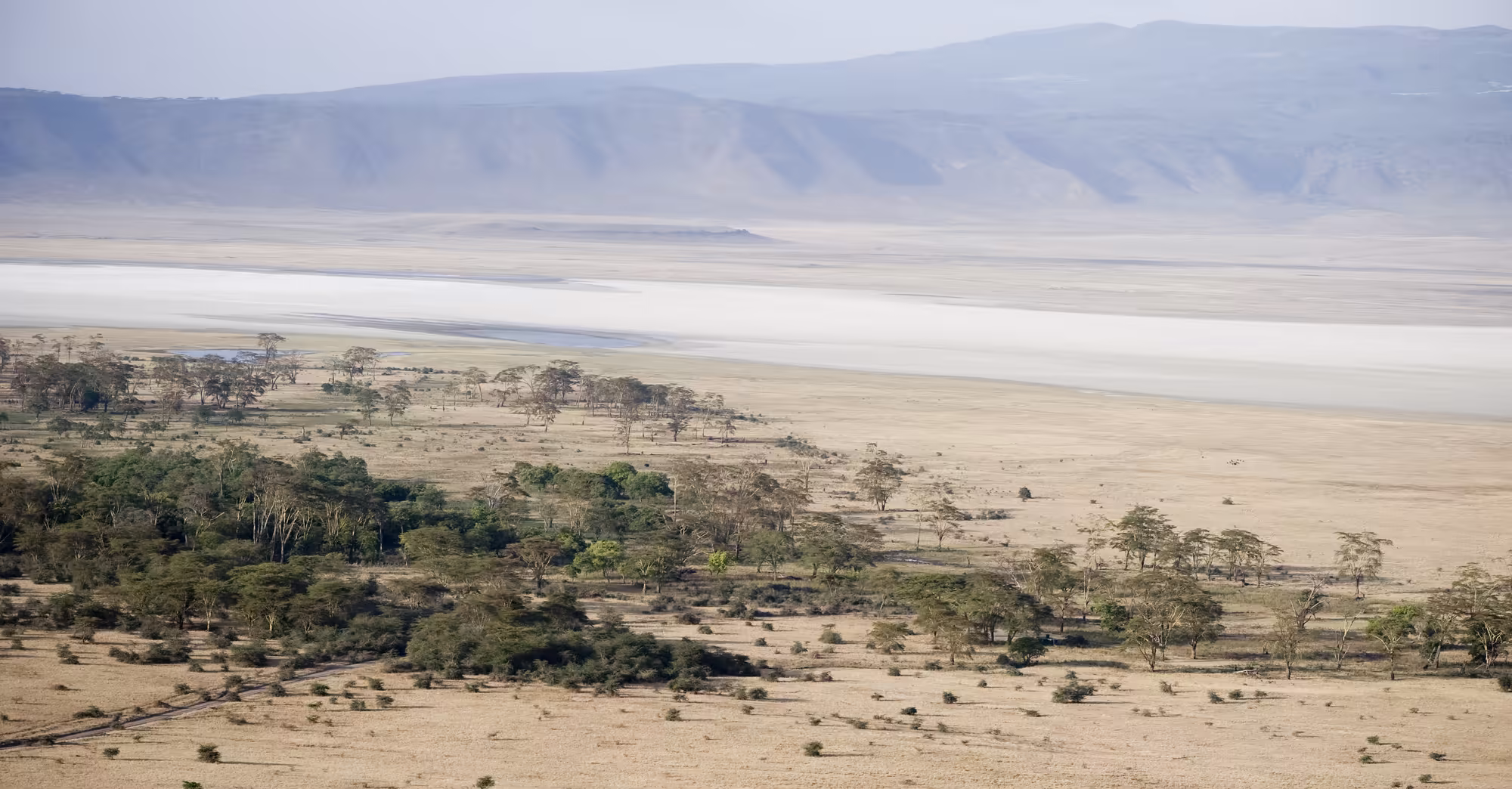 View into the Ngorongoro Crater